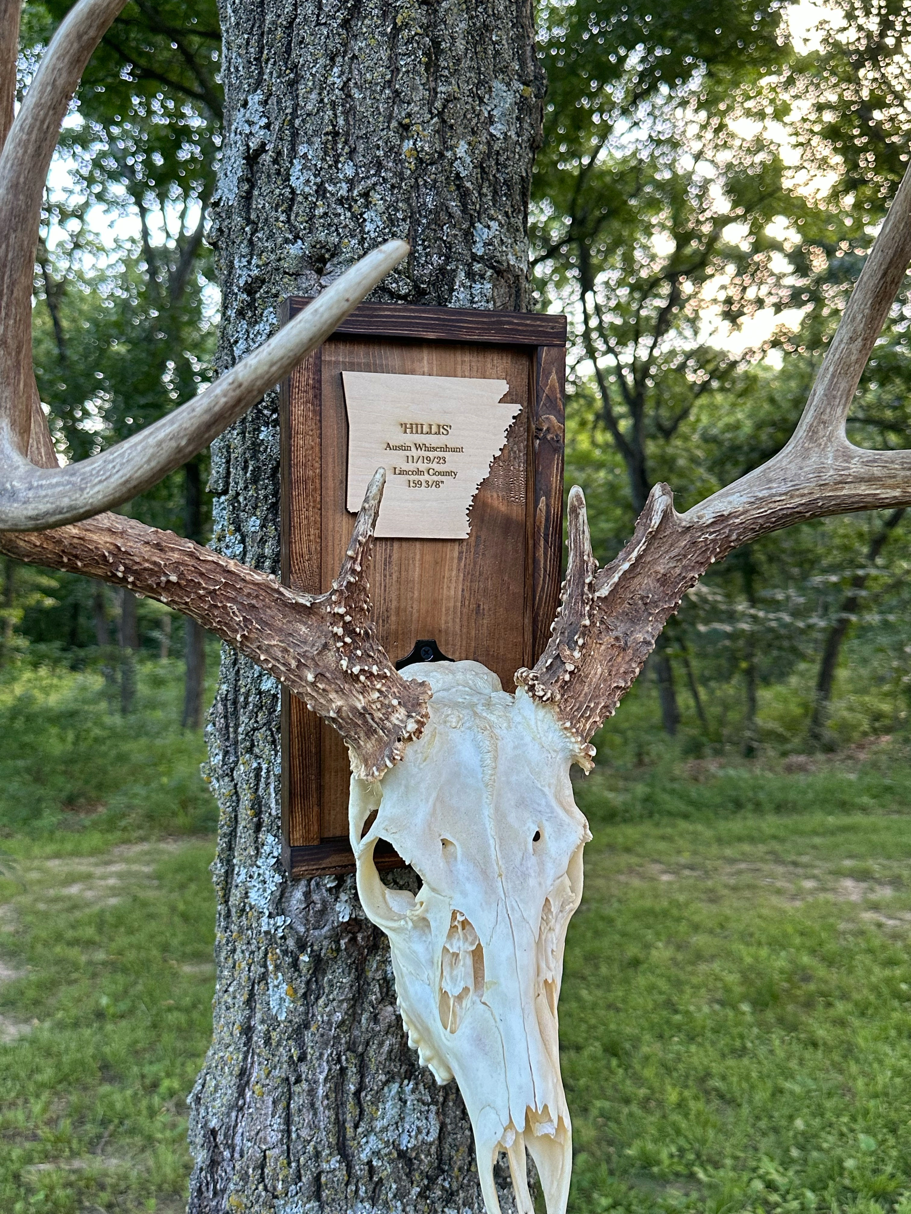 Barn Series - Walnut