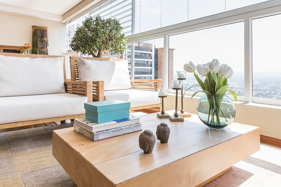 CONSULTORIA DE INTERIORES