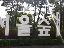 Ep.13 서울 여행 with Gabi. Vocabulary 