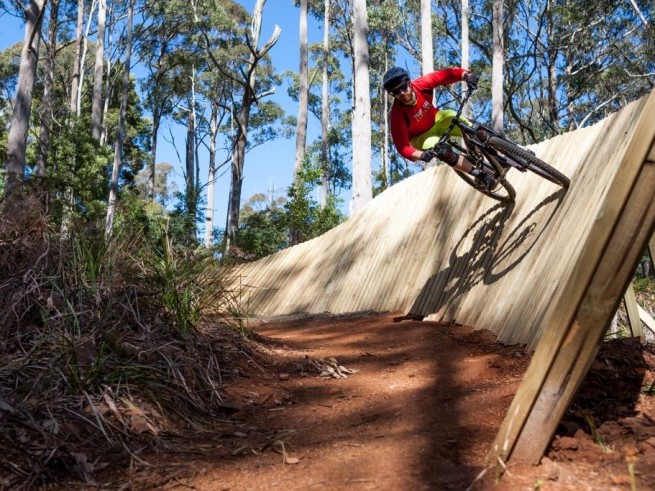 hollybank mountain bike park