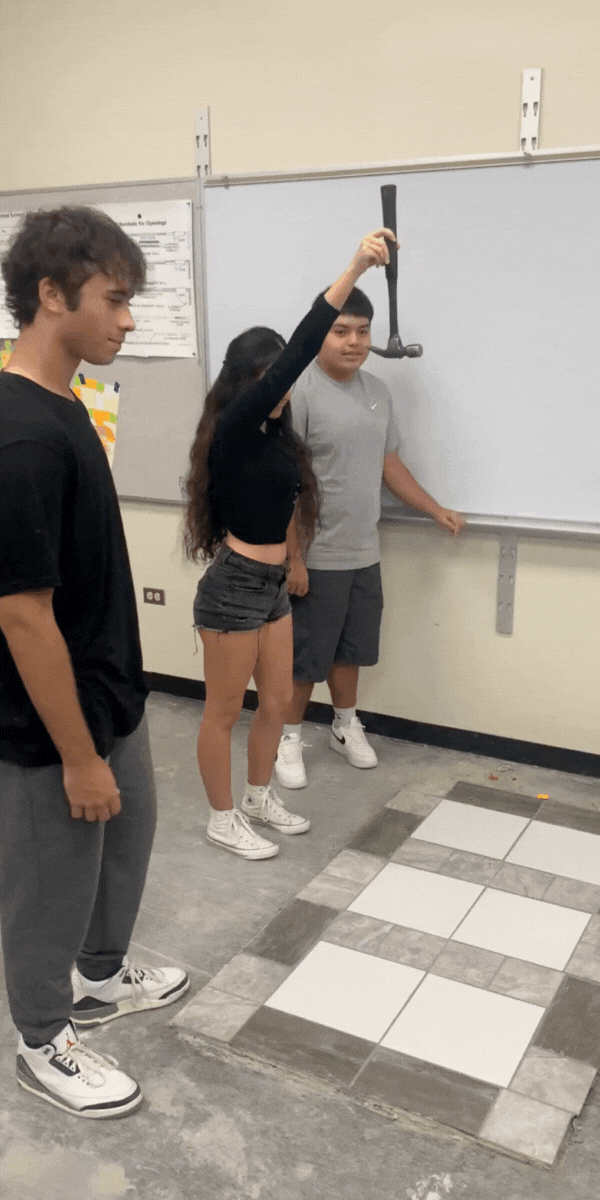 40x60) (600 x 1200 px).gif
