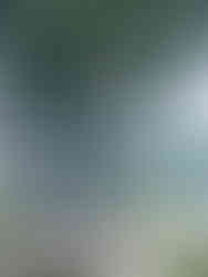 A steel-colored sculpture of a cloaked figure, arms in front of its face holding three roses, situated next to the Danube river