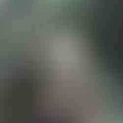 A stone stairway winding up underneath a canopy of trees next to a stone wall with an iron fence.