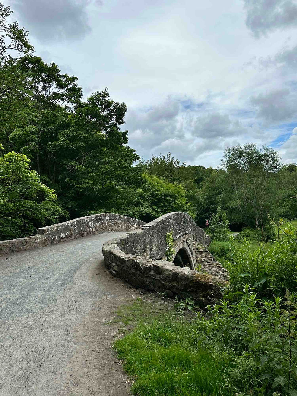 A gravel path going over a stone bridge, surrounded by green trees and bushes