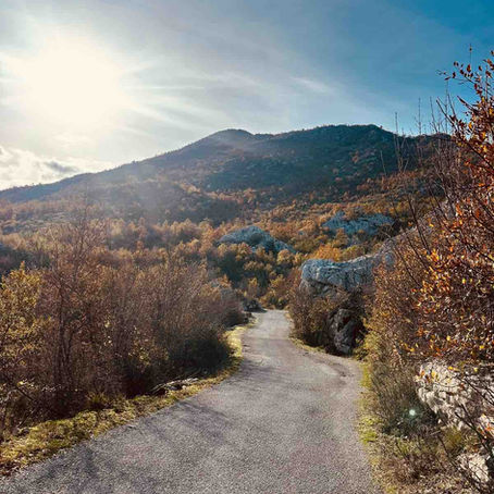 A narrow winding paved path between rocks and autumn trees in the moutains