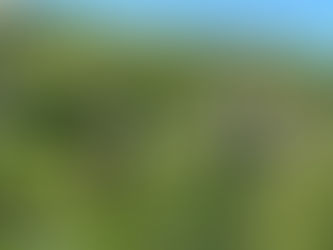 We’ll always have Ireland