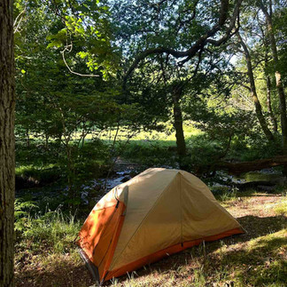 A small orange tent set up in the forest
