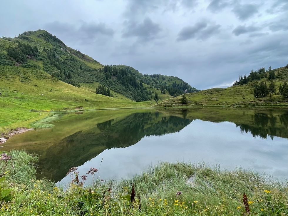 Swiss Alps in Switzerland with a view of a lake and rolling hills