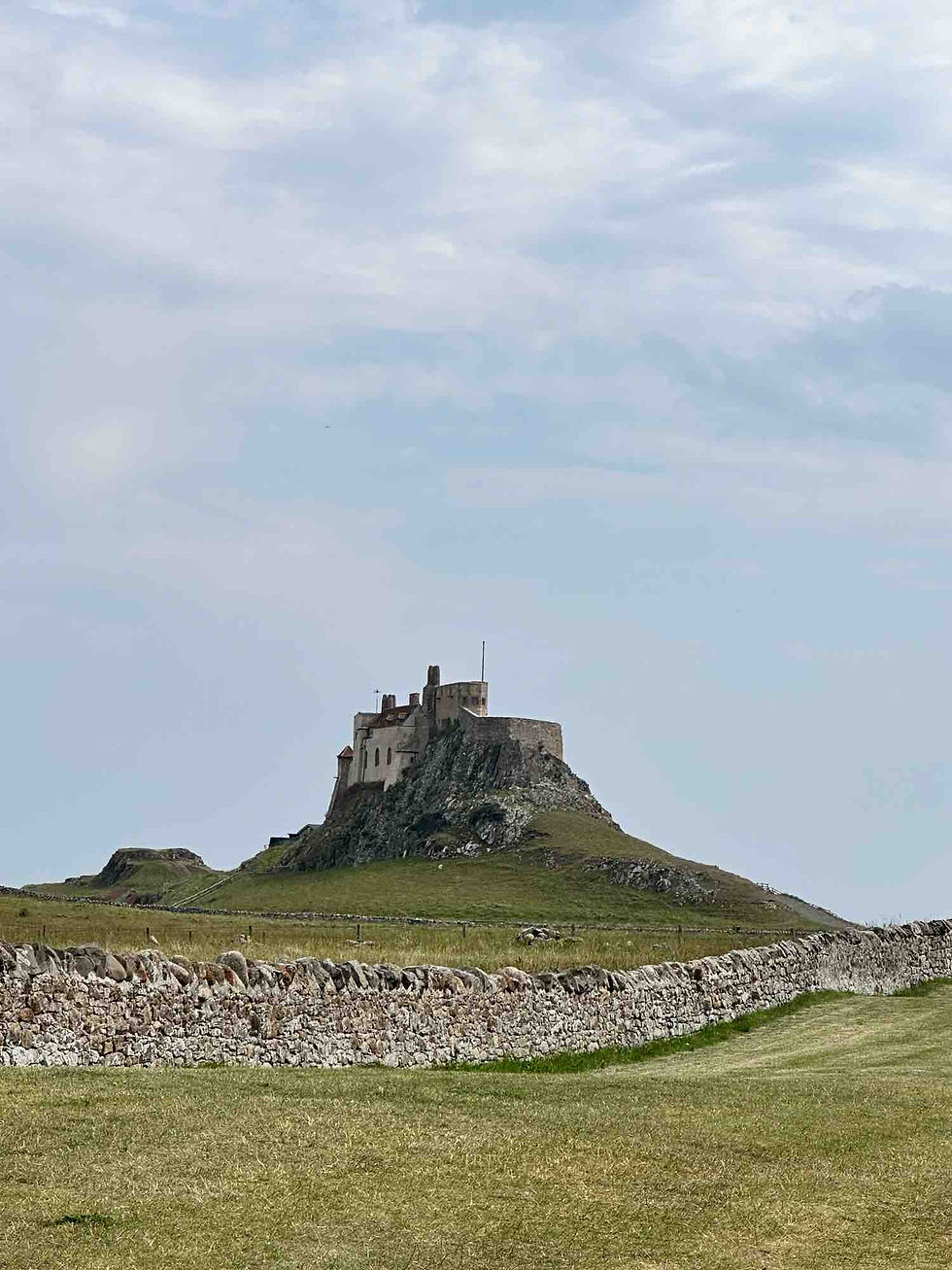 A medieval stone castle atop a rocky hill, surrounded by a grass valley and a long stone wall