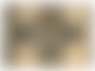 Best Price! Eye Lash Sepia Gold Makeup Glitter Beauty Cosmetic Large Gift Bag