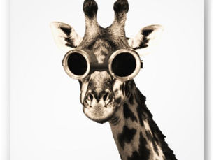 Top 10! Giraffe With Steampunk Sunglasses Goggles Photo Print