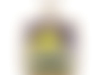 Hot Review! Judaica 12 Tribes Of Israel Benjamin Gold Plated Necklace