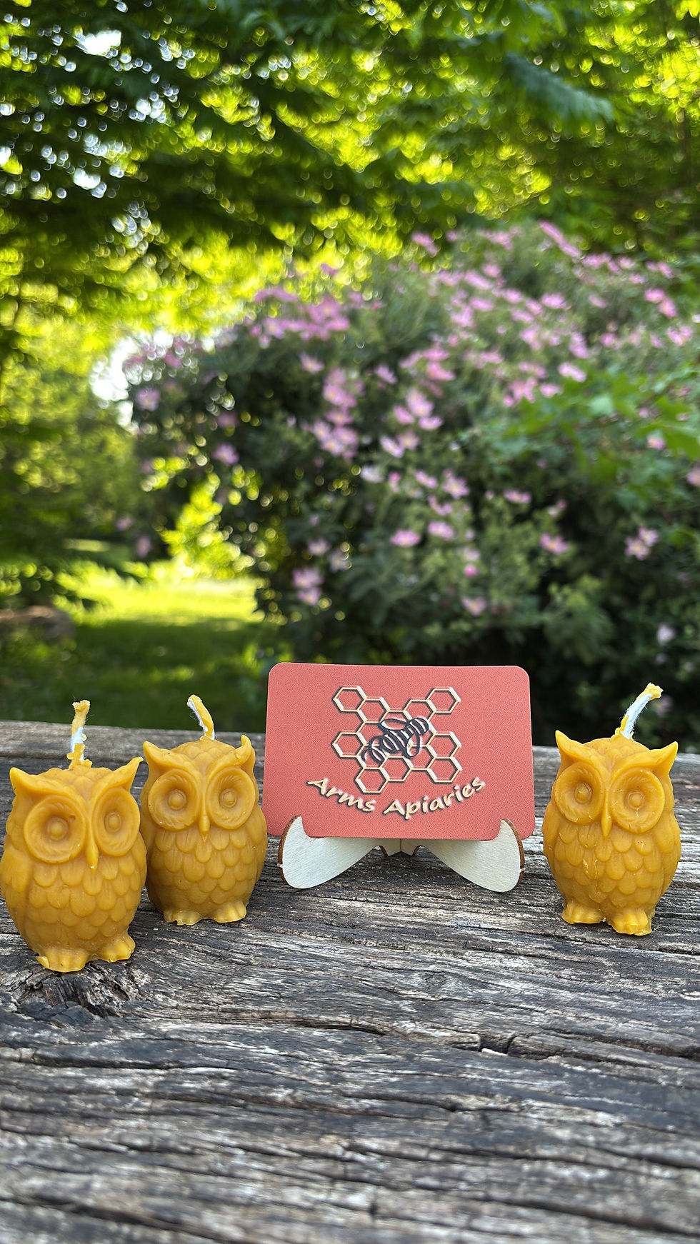 Beeswax owl