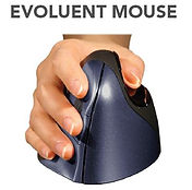 EVOLUENT Mouse.JPG