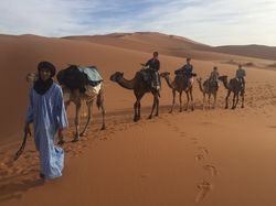 camel tour