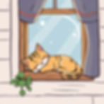 cat taking a nap on a window