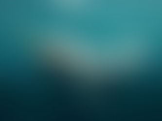 Narwhal Fun Facts for Kids: The Unicorns of the Sea