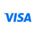 Visa payment icon
