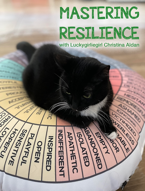 luckygirliegirl MASTERING RESILIENCE COURSE IMAGES.png