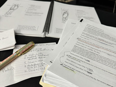 photo of my desk while studying for anatomy