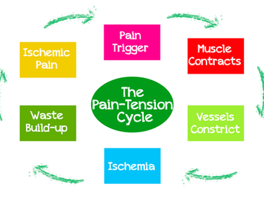 The Pain-Spasm-Ischemia Pain Cycle