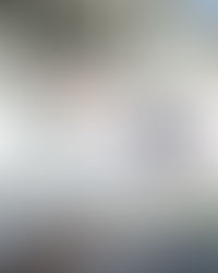 Spacious Double-Storey Terrace Homes in Johor Bahru