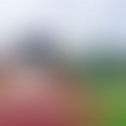 Greenery Environment - Taman Ponderosa