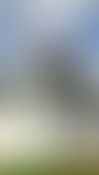 Good food, great neighbourhood!