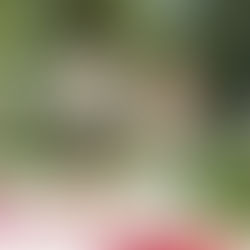 Start a morning jog @ Ponderosa Woods