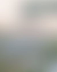 Phase 2 has successfully obtained the CCC (Certificate of Completion and Compliance)!