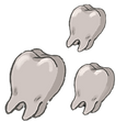 tooth sticker