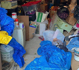 Hoarder Cleanup.jpg