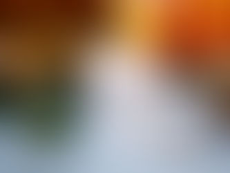 An Autumn Affair: A Night of Style and Celebration on the Napolita Northbrook Patio