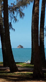 Cairns Tropical Island Palms Australia Palm Cove