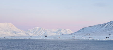 Svalbard Sunset NoFilter