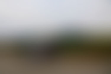 News und Stimmen WP 10 (Keply 1)