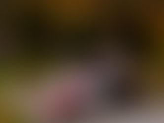 News und Stimmen WP 13