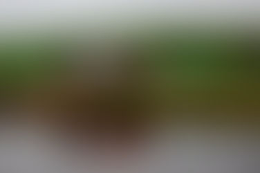 WRC stars Thierry Neuville and Seb Ogier battle for the lead at the Central European Rally