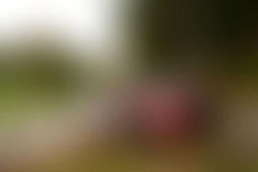 Tänak ovládl Středoevropskou rally a zdramatizoval bitvu o titul mistra světa