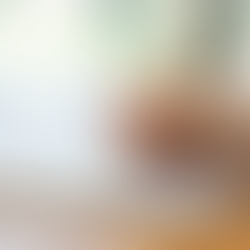 Você faz o checklist antes de iniciar o projeto?