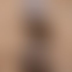 MDF Pinus e Eucalipto: entenda as diferenças