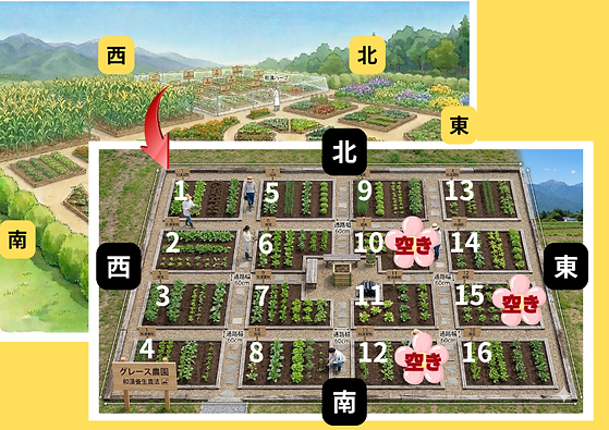 グレース農園イメージ画像 (1).png