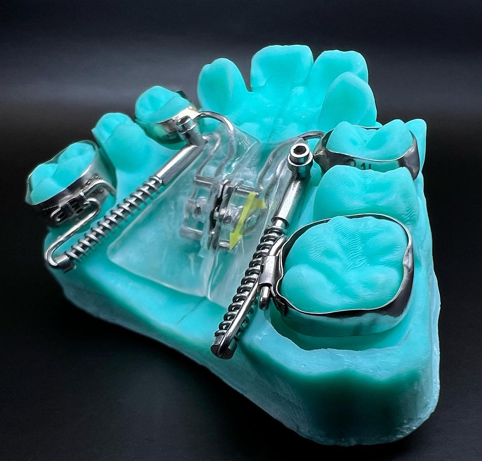 Orthodontics Zan Ortho Lab