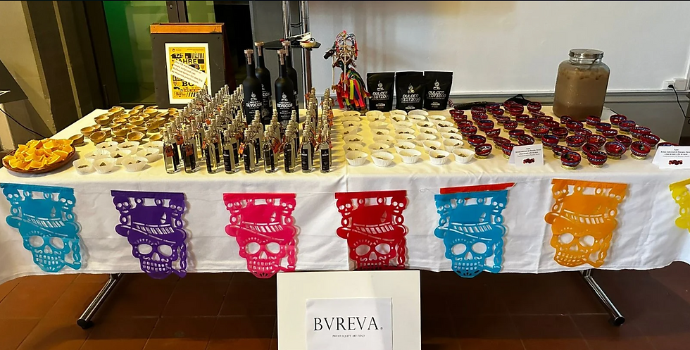 Captura de pantalla 2025-06-17 181333.png