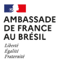 logoAmb-Brésil-removebg-preview.png