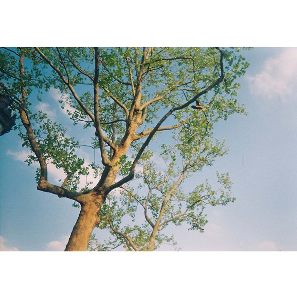 Thumbnail: Lomography Colorsplash Camera Chakra Edition