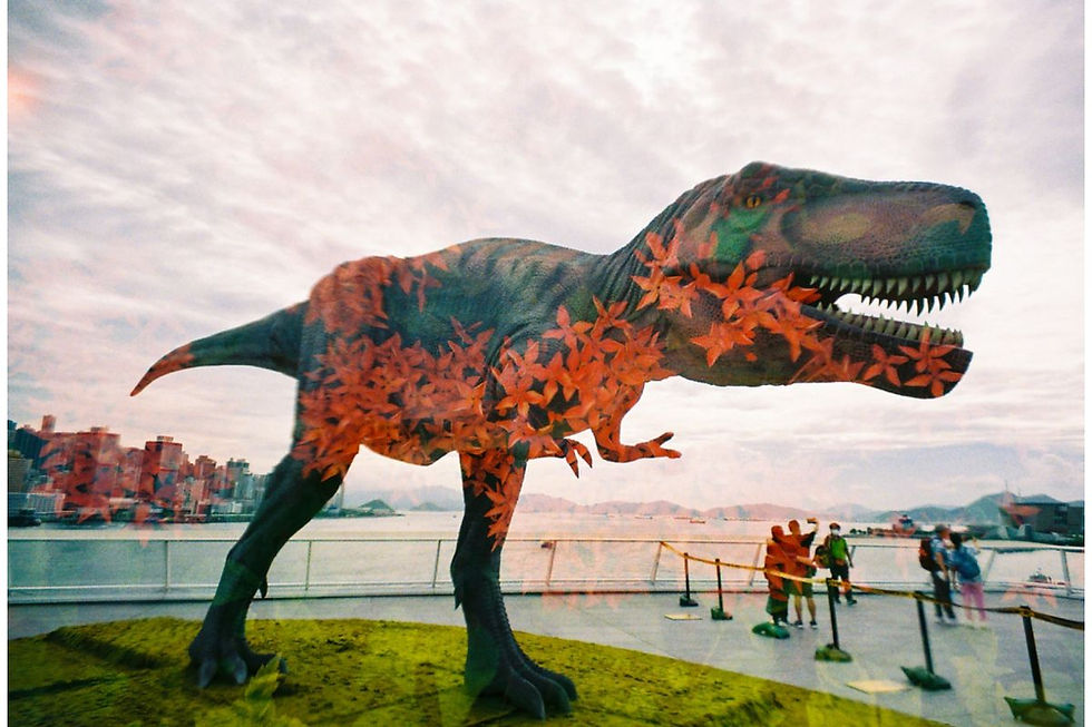 Thumbnail: Lomo Apparat 21 mm Wide-angle Camera Neubau Edition