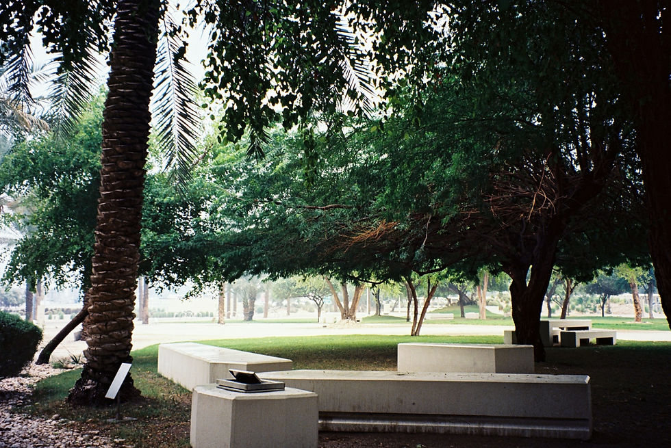 Thumbnail: KODAK EKTAR 100 Color Film 135/36