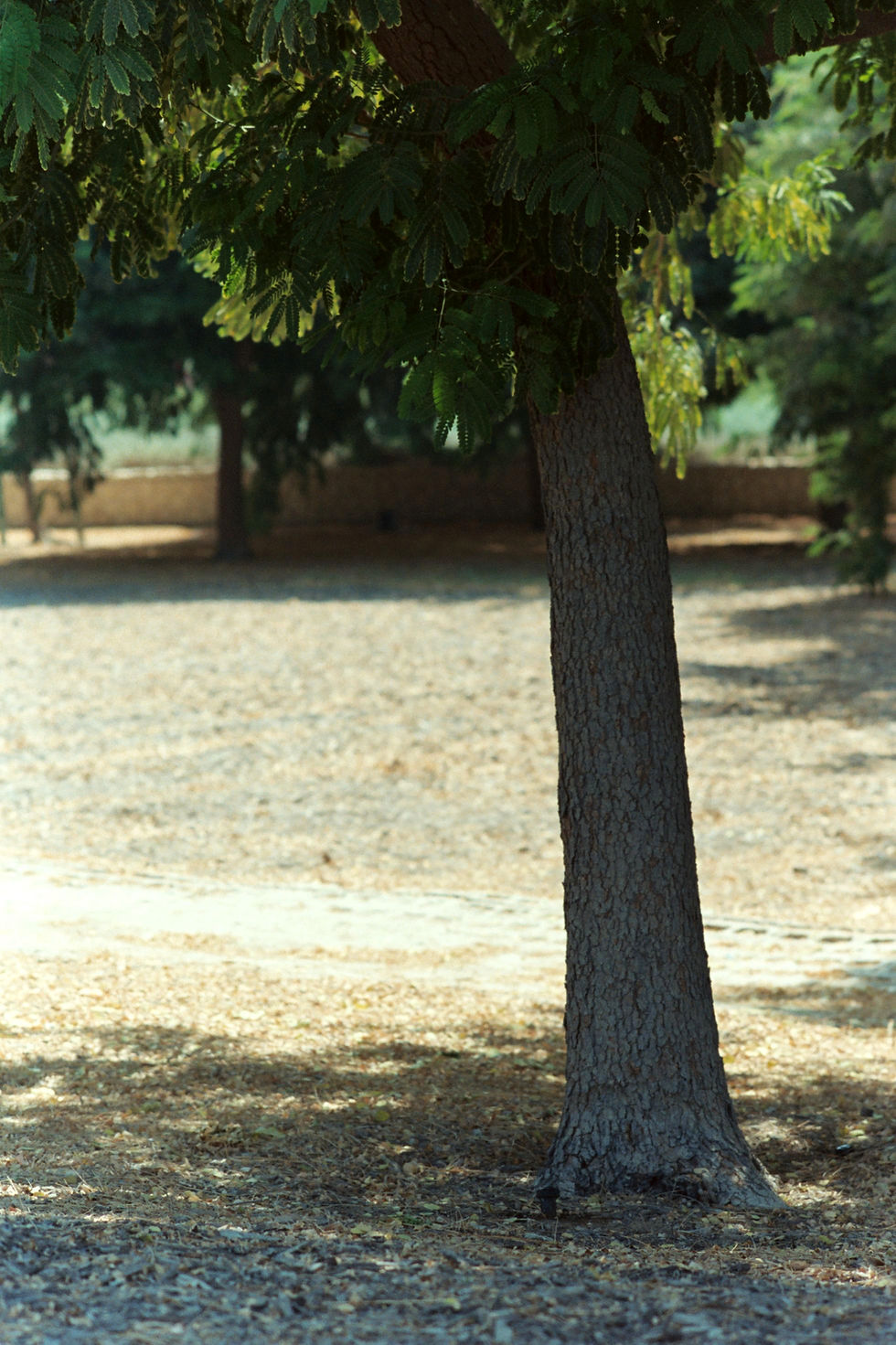 Thumbnail: KAC 500 TColor Cine Film - 35mm 27exp