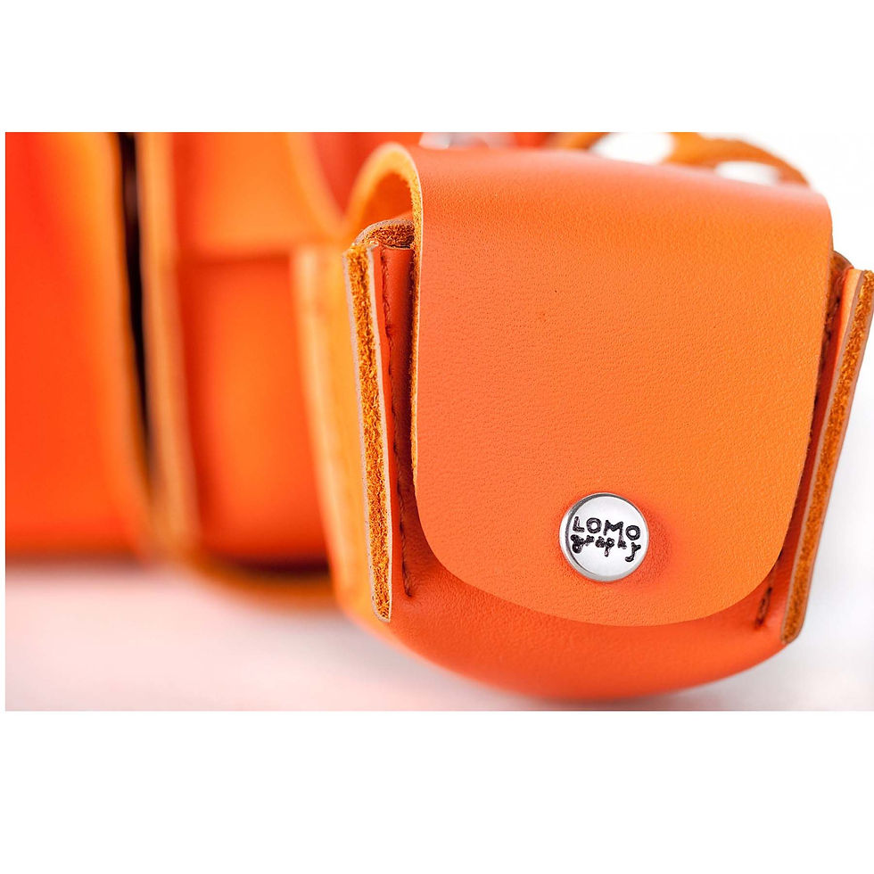Thumbnail: Fisheye Case Vibrant Orange